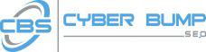 Cyber Bump SEO