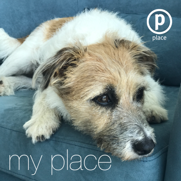 Place Property