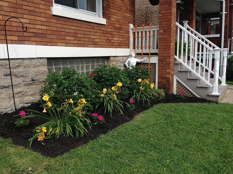 Northern Beaches Garden Maintenance