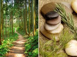 Michael's Natural Therapies: Miranda