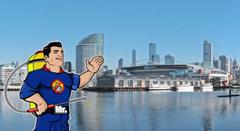 Mr Pest Controller: Melbourne