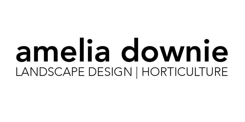 Amelia Downie Landscape Design And Horticulture