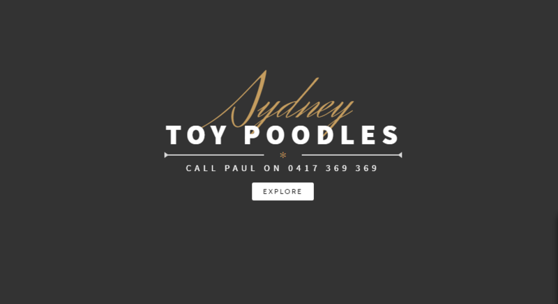 Sydney Toy Poodles