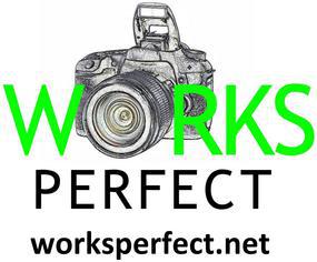 Works Perfect logo