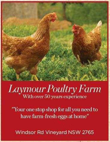 Laymour Poultry Farm