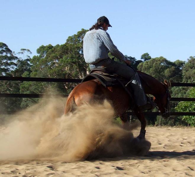 Tales of the Trail Western Ranch