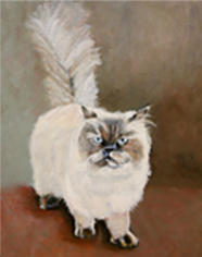 Your Pets Portrait