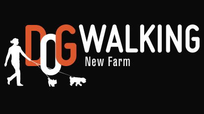 Dog Walking New Farm