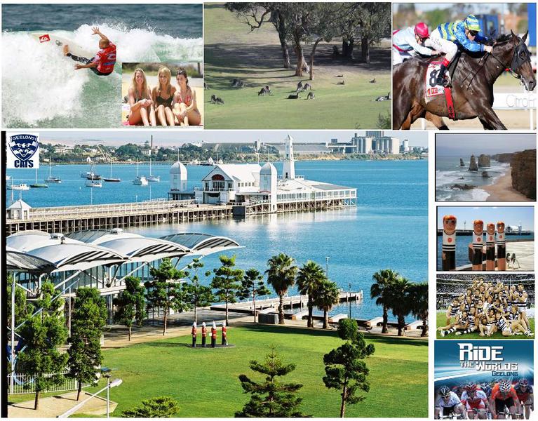 Geelong Business For Sale