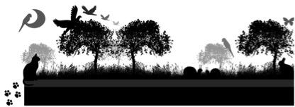 Designemedia