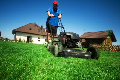 Green Beret Mowing Services