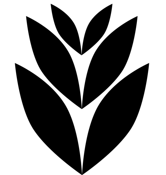 Thrive Web Design
