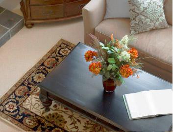 Future Floor Carpet Care: Campbelltown