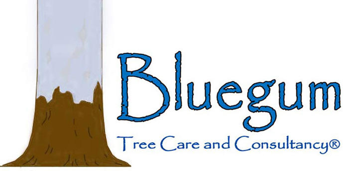 Bluegum Tree Care and Consultancy
