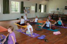 Vedic Yoga Therapies