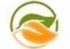 Healthy Shelf logo