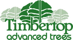 Timbertop Advanced Trees