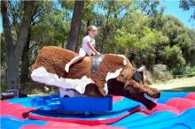 Mad Cow Entertainment Co