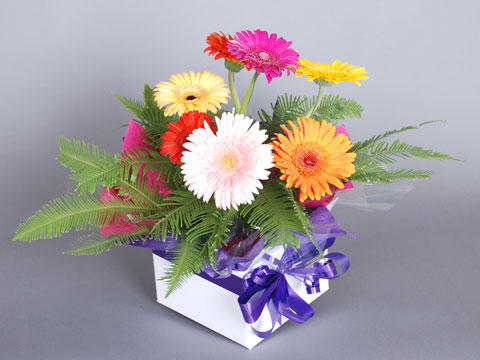 Bliss Flowers