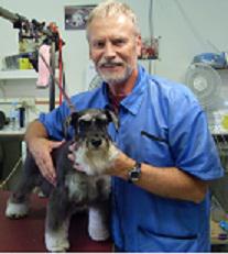 Clip 'N Style Pet Grooming