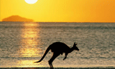 Immigration Help: Plympton