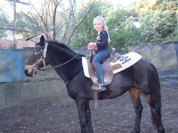 Pony Rides Forent