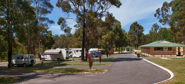 Manjimup Central Caravan Park