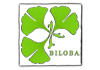 Biloba Sustainable Landscape Architecture and Garden Design