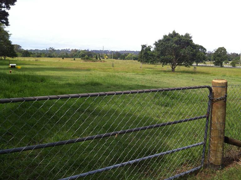 Moggill Agistment