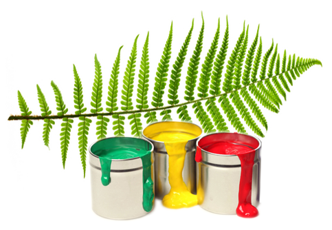 Bio Natural Paints