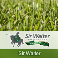 Illawarra Turf
