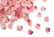 Barbara Burt: Celebrant logo