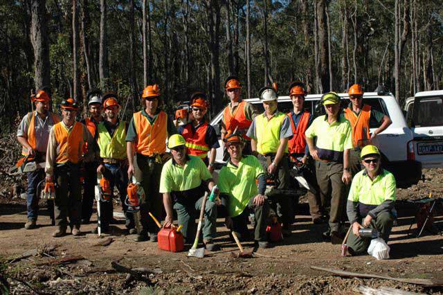 Towie Timber Training
