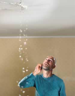 All Plumbing Services: Holland Park