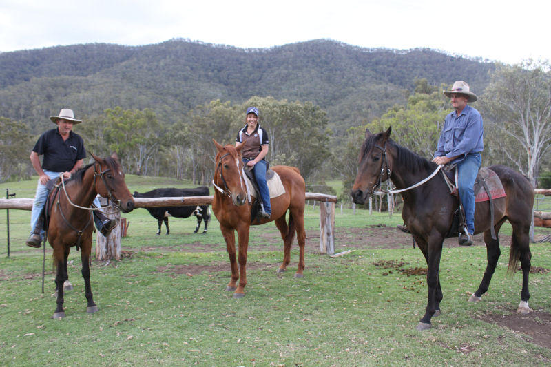 Rons Horse Riding