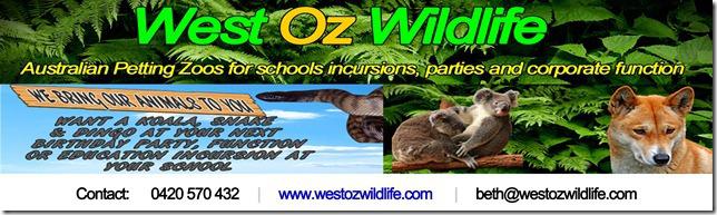 West Oz Wildlife