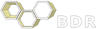 Biodental Remin Ltd