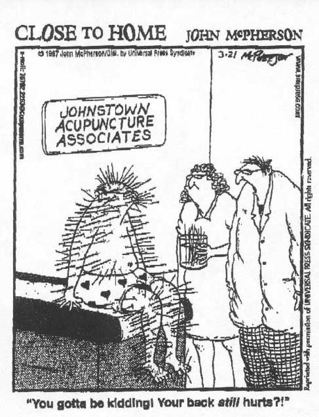 Diane Cheal Acupuncture: West End