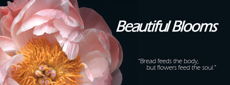 Beautiful Blooms