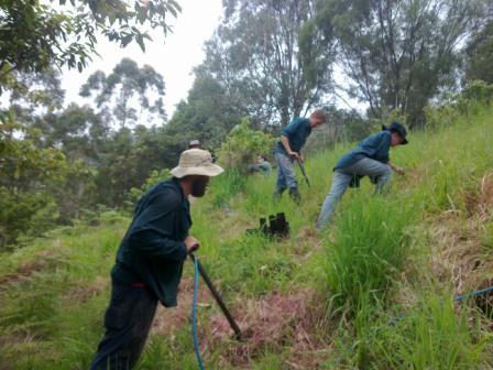 Noosa & District Landcare