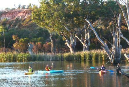Canoe Adventures: Riverland