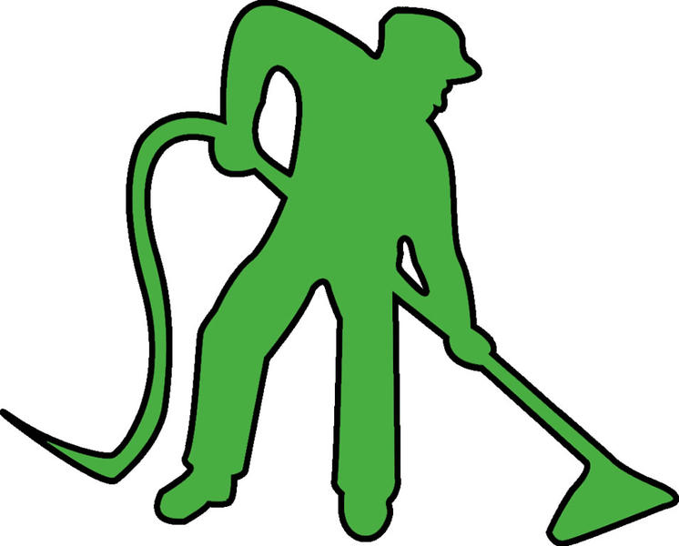 The Professional Carpet Cleaners