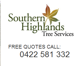 Southern Highlands Tree Services