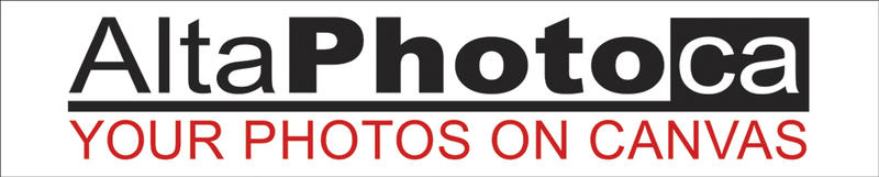 Altaphotoca