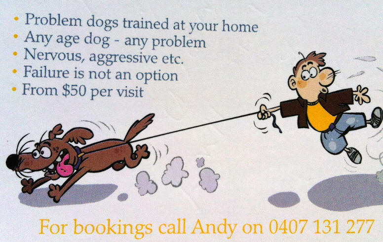 Andy Lea Dog Psychology Training logo