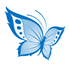 Aged Care Assistance Placement Consultancy logo