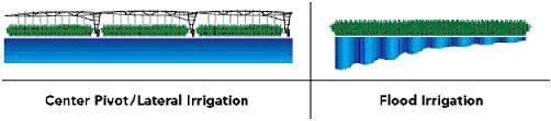 I-Water Pty Ltd