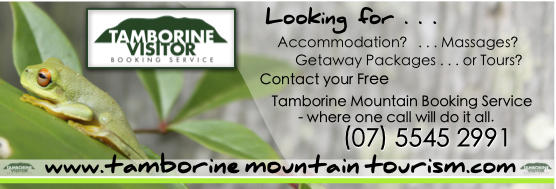 Tamborine Visitor
