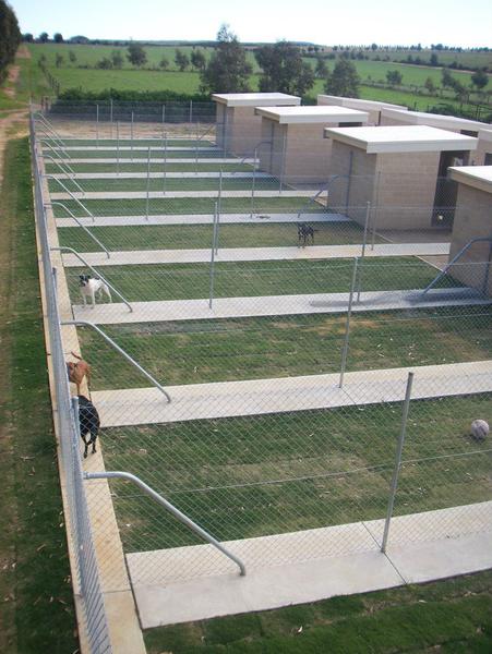 Arthur Road Kennels