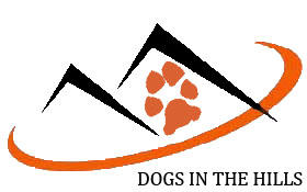 Dogs in the Hills